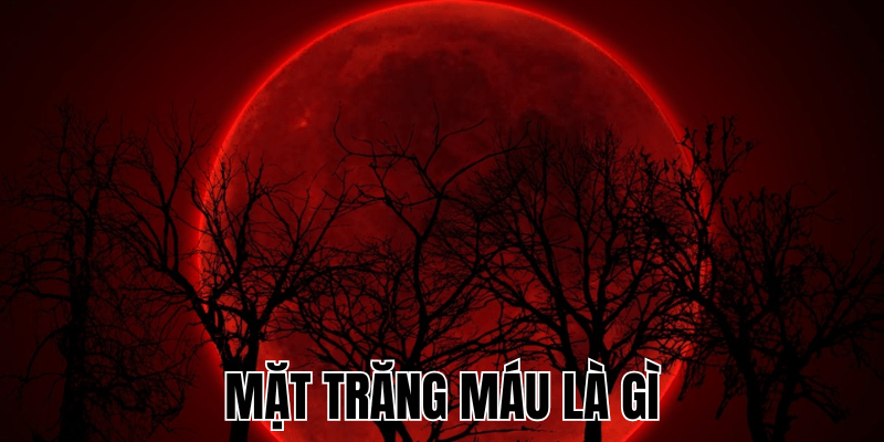 Mặt Trăng Máu Là Gì? Hiểu Về Hiện Tượng Nguyệt Thực Đỏ 1 Mặt Trăng Máu Là Gì