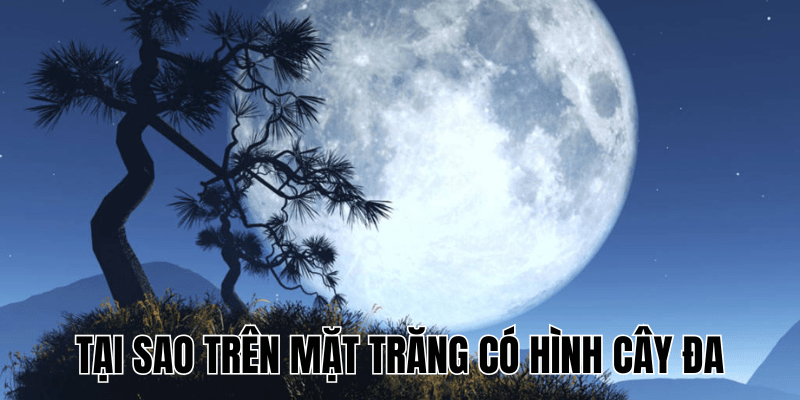 Tại Sao Trên Mặt Trăng Có Hình Cây Đa? Có Thật Không? 1 Tại Sao Trên Mặt Trăng Có Hình Cây Đa